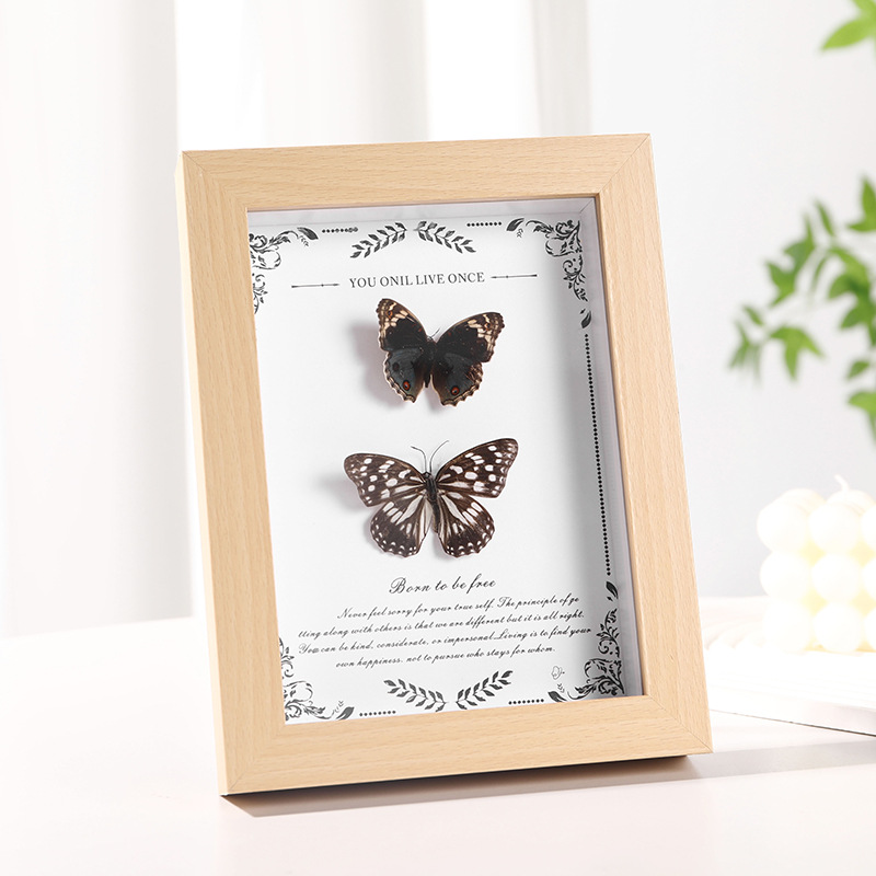 MDF Picture Frames Hollow specimen frame