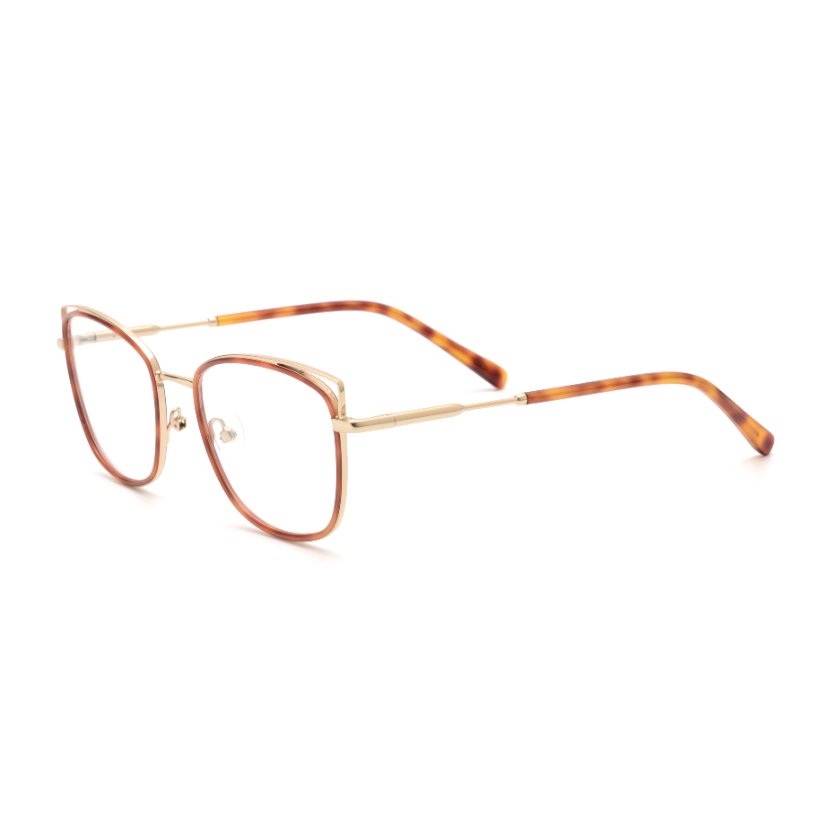 Metal Frames M6004