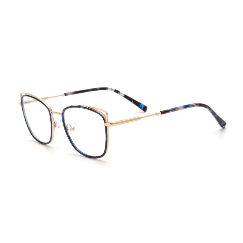Metal Frames M6004