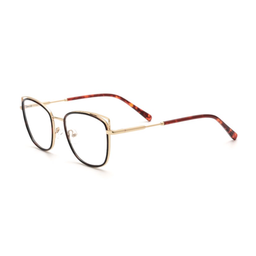 Metal Frames M6004