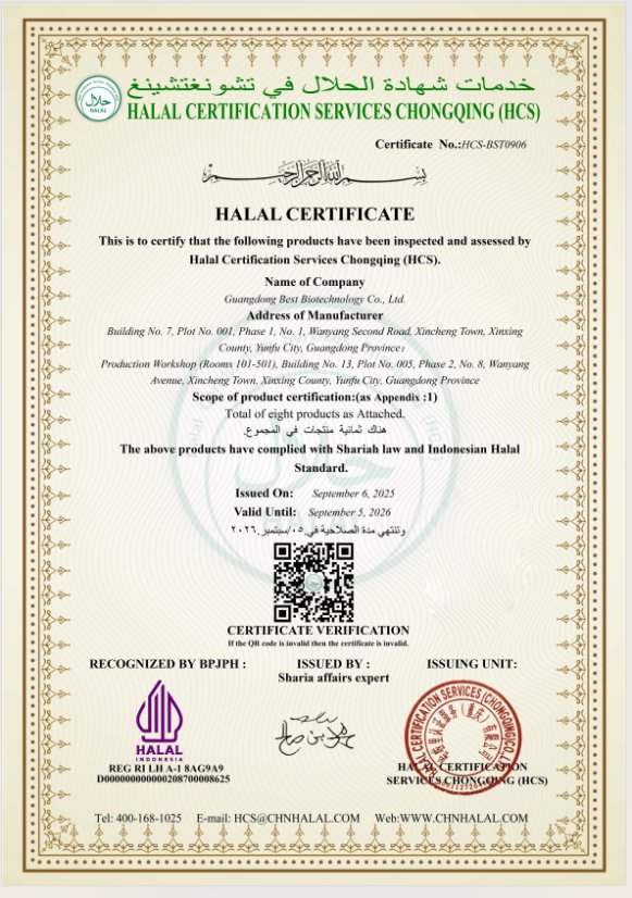 Certificate 5