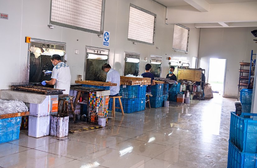 Factory Image 5