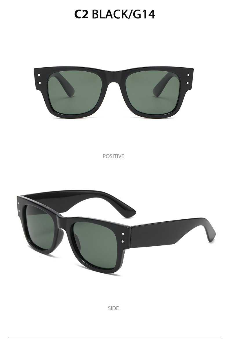 Casual Sunglasses 3674 Polarized Casual Sunglasses