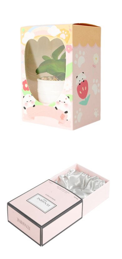 Industry Solutions Beauty Packaging — Perfume & Skincare Gift Box