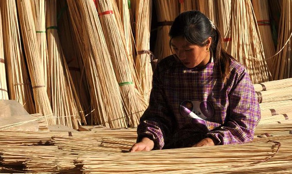 Bamboo stick stick