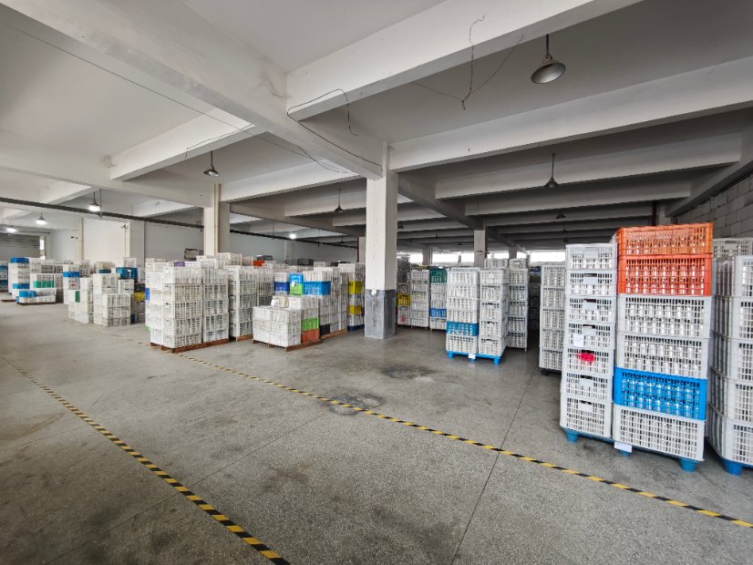Factory Image 12