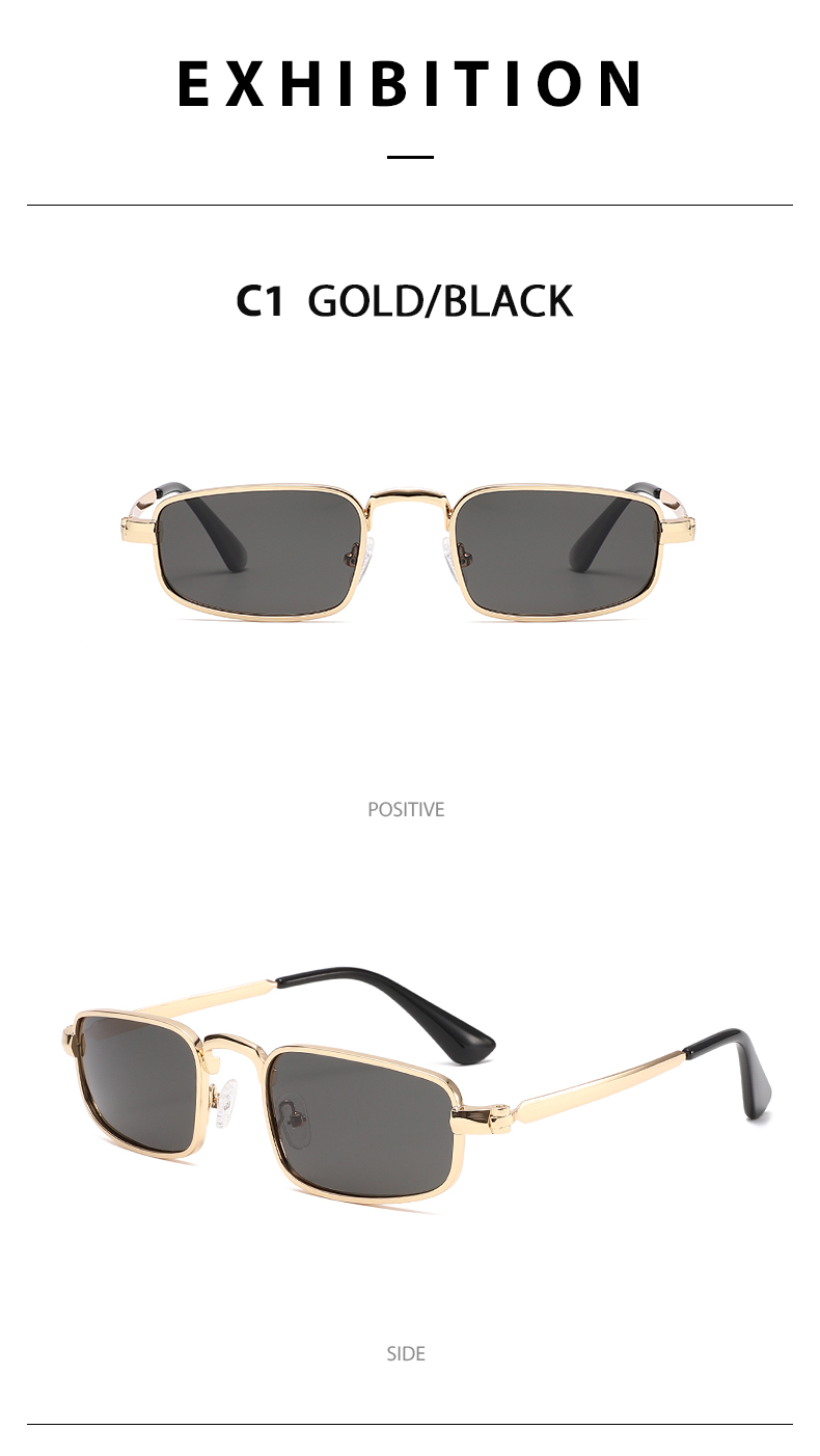 Casual Sunglasses 3683 Polarized Sunglasses