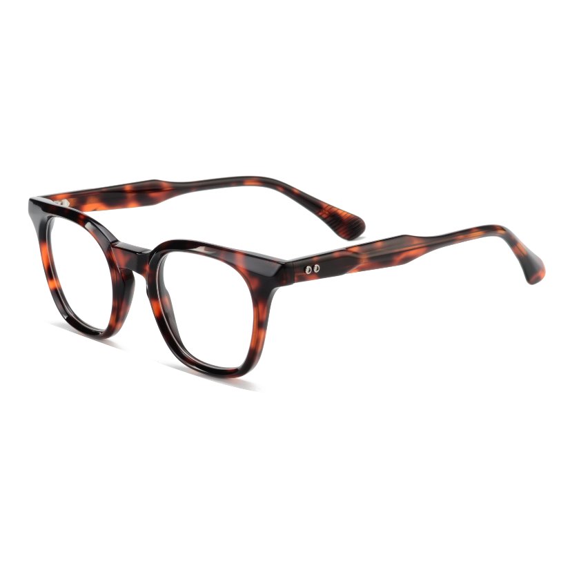 Acetate Frames T1009