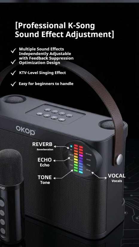 Karaoke Speaker System KP-K09 Wireless Bluetooth Karaoke Microphone and Speaker