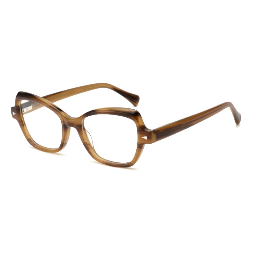 Acetate Frames T1003