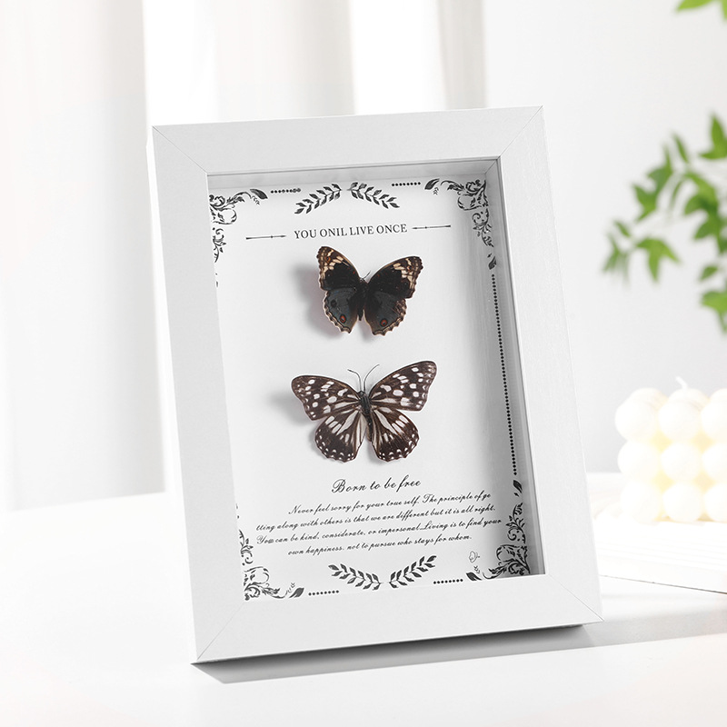 MDF Picture Frames Hollow specimen frame