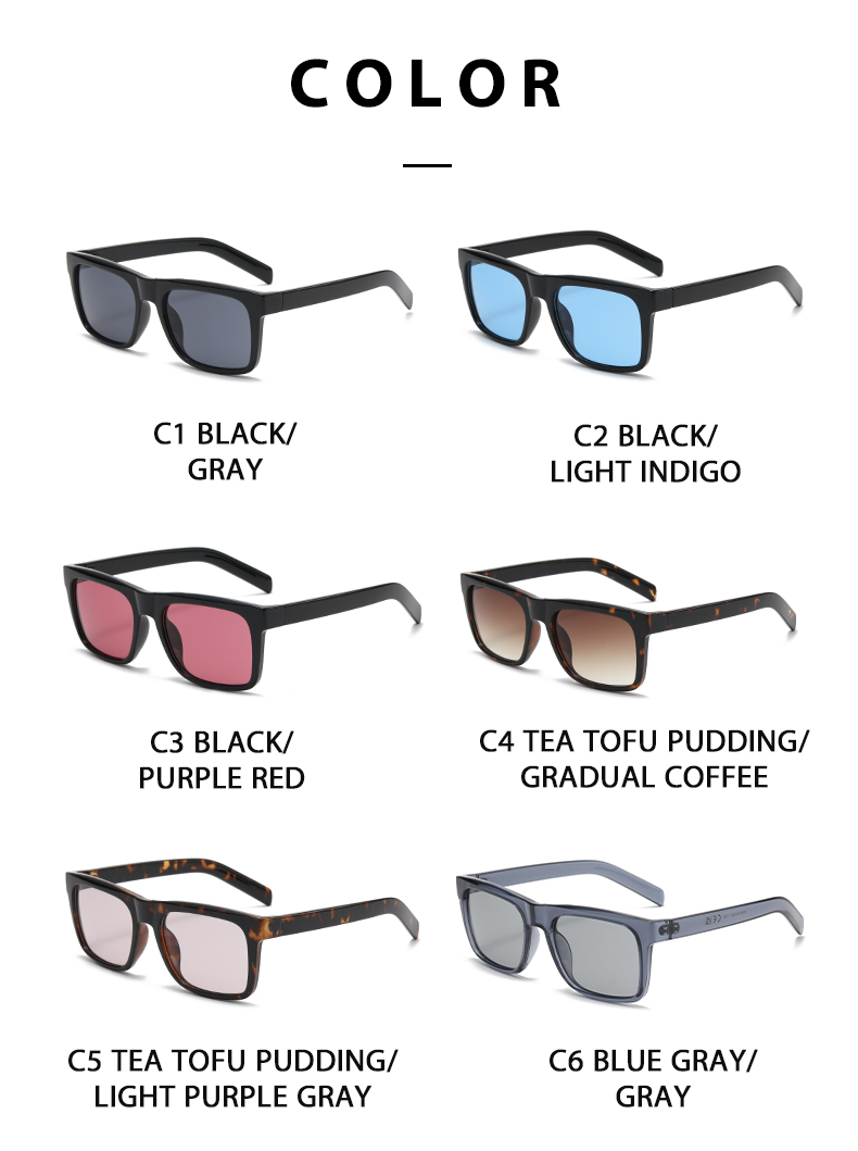 Casual Sunglasses 3689 Casual Sunglasses