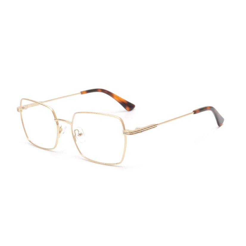 Metal Frames M6005