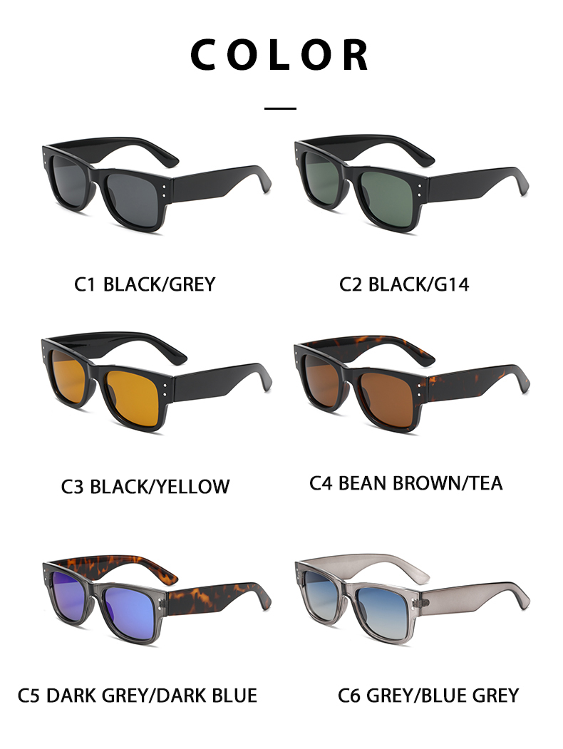 Casual Sunglasses 3674 Polarized Casual Sunglasses