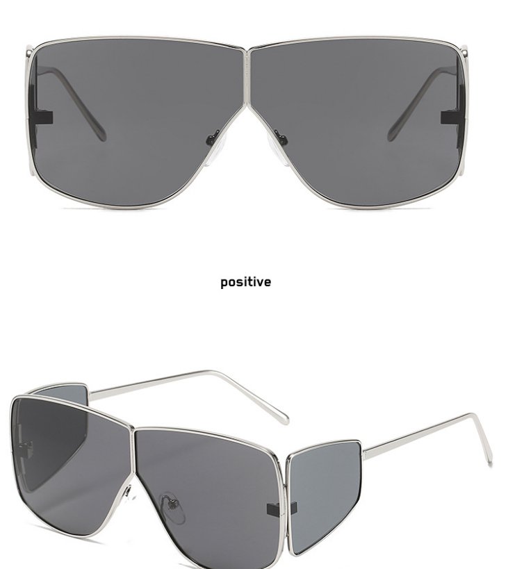 Metallic Fashion Sunglasses 5599