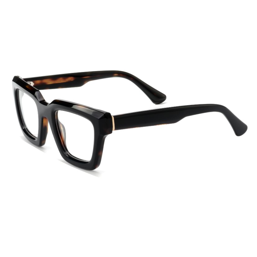 Acetate Frames T3018