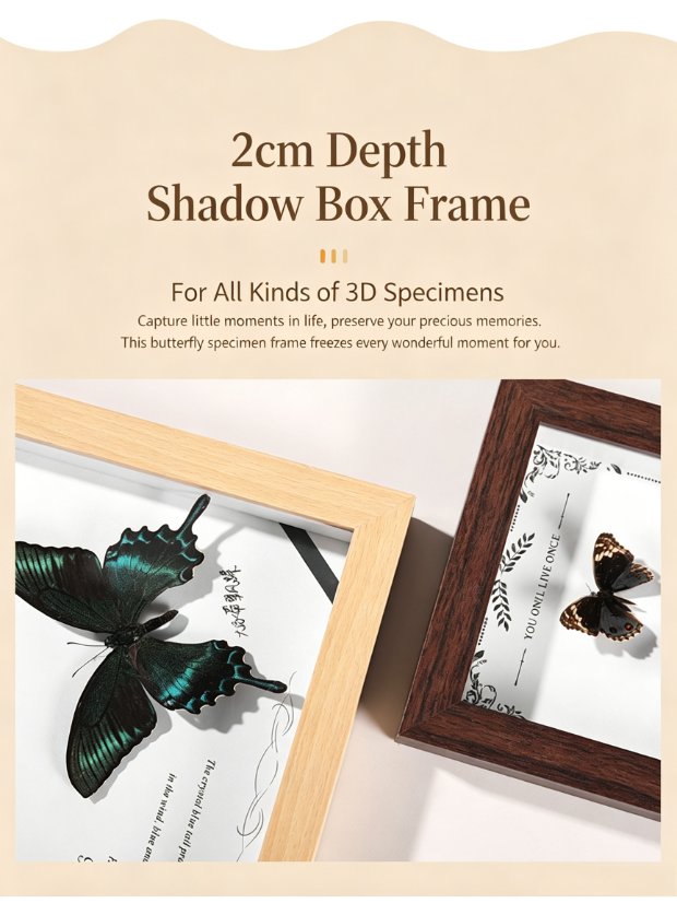 MDF Picture Frames Hollow specimen frame