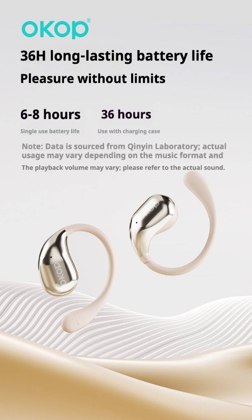 TWS Earbuds KP-217 Wireless Bluetooth Ear-Hook Earbuds