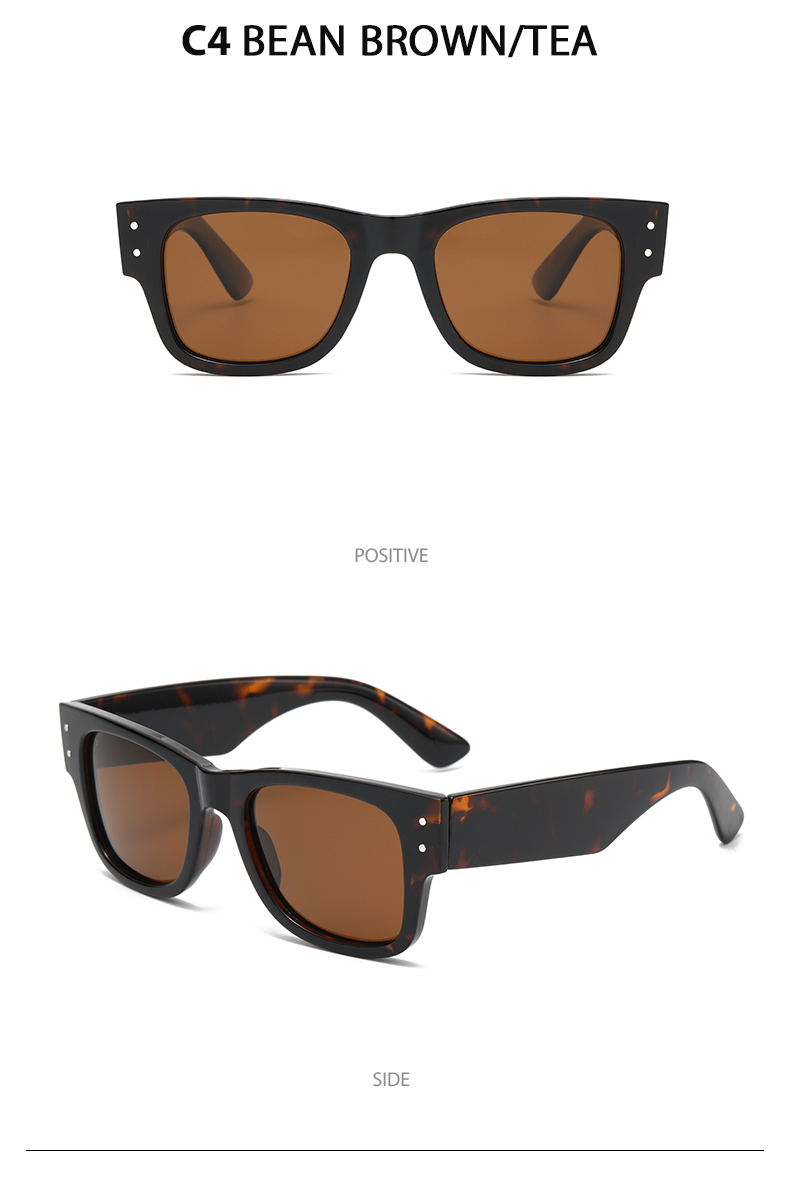 Casual Sunglasses 3674 Polarized Casual Sunglasses