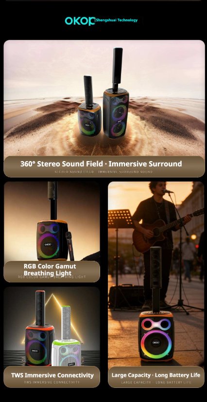 Karaoke Speaker System KP-8008/8009 Wireless Bluetooth Speaker – 120W High Power, Dual Microphones for Karaoke, Portable Audio System for Outdoor Use and Home Parties