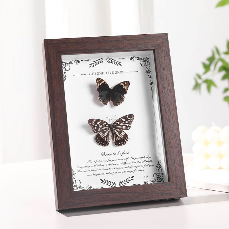 MDF Picture Frames Hollow specimen frame