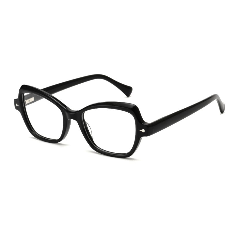 Acetate Frames T1003