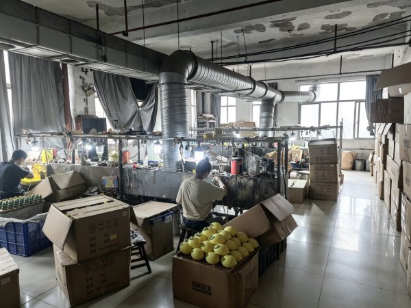 Factory Image 4