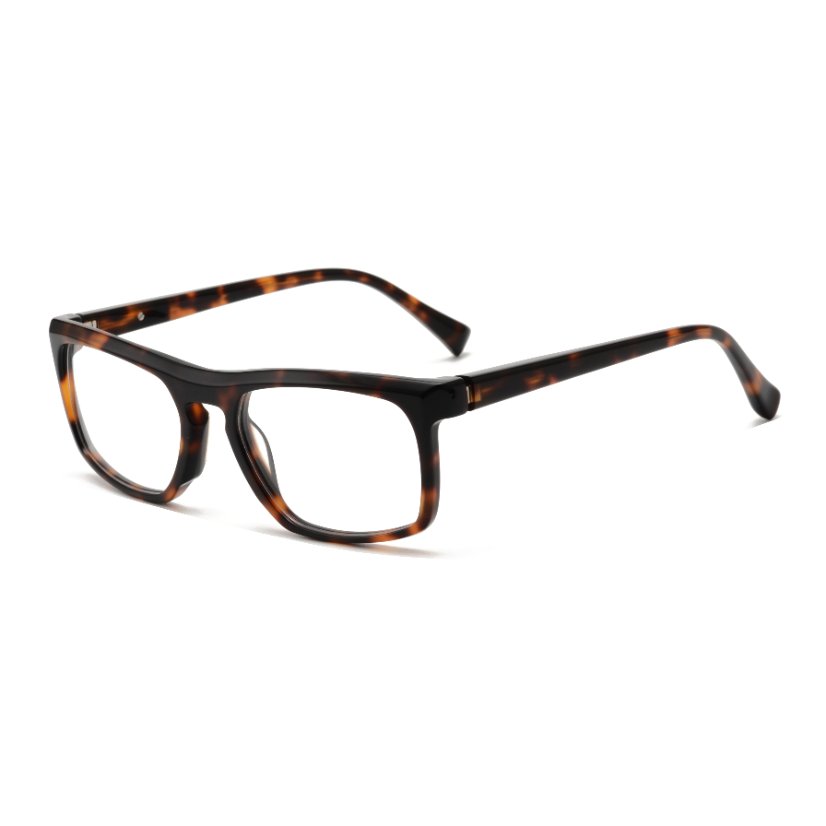 Acetate Frames T3012