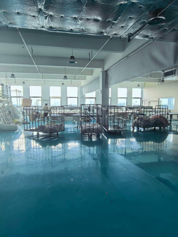 Factory Image 5