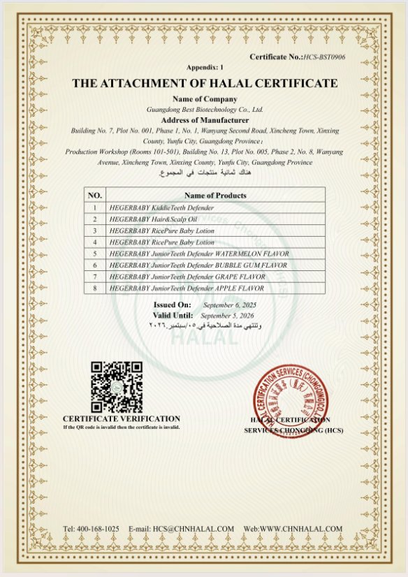 Certificate 6
