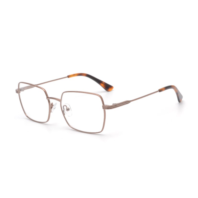 Metal Frames M6005