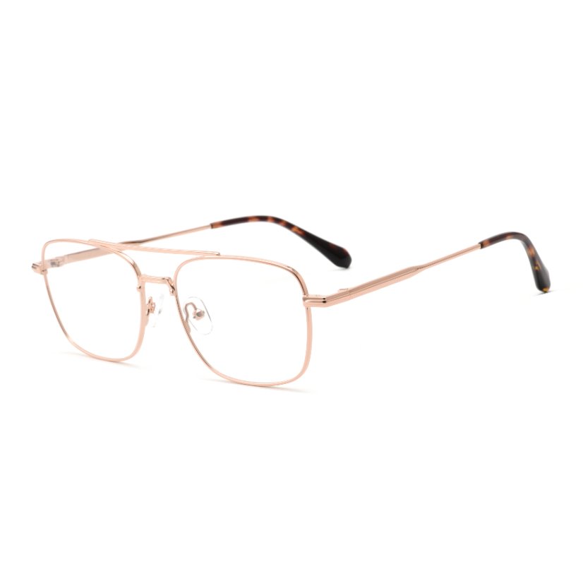 Metal Frames M6008