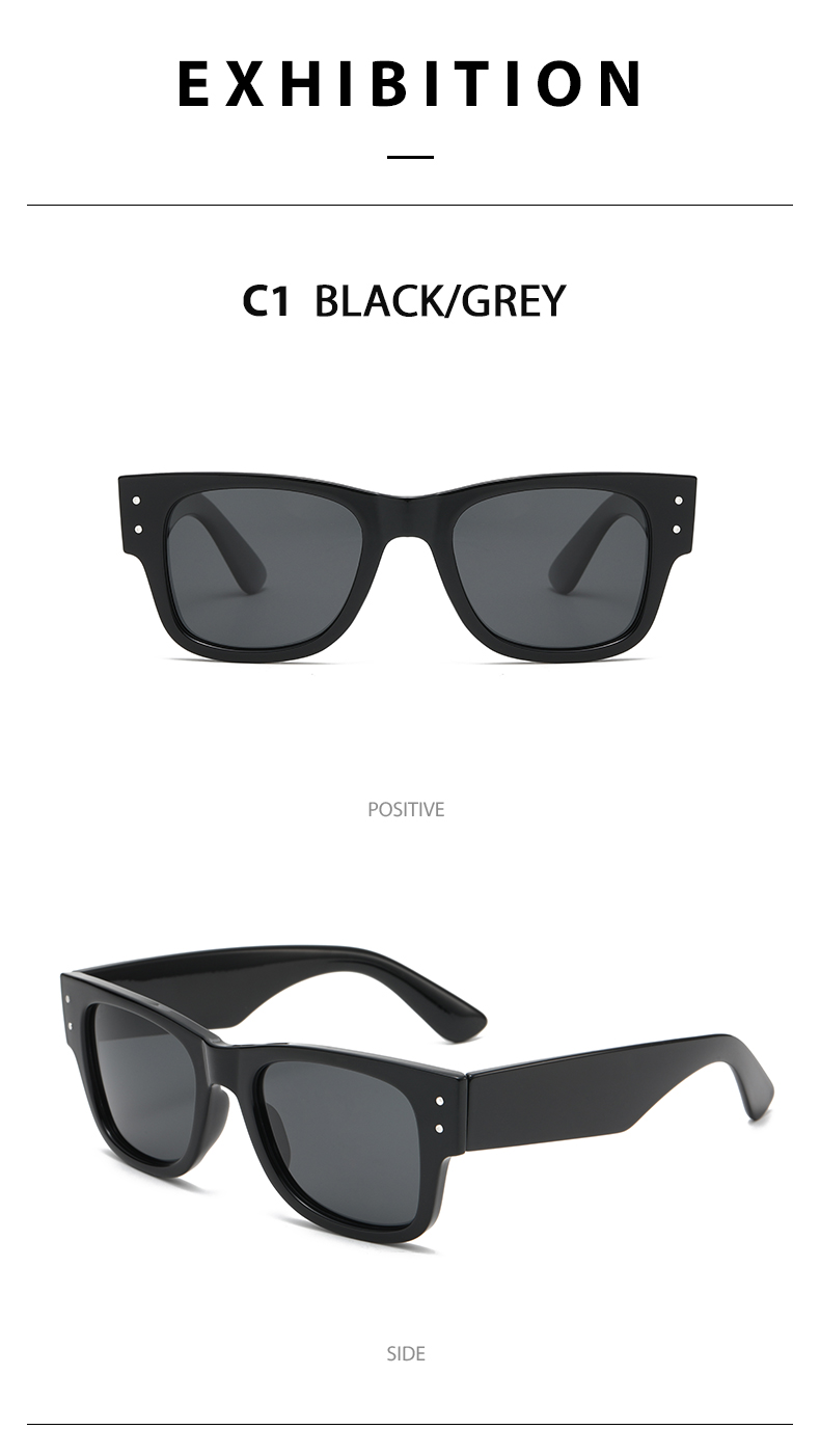 Casual Sunglasses 3674 Polarized Casual Sunglasses