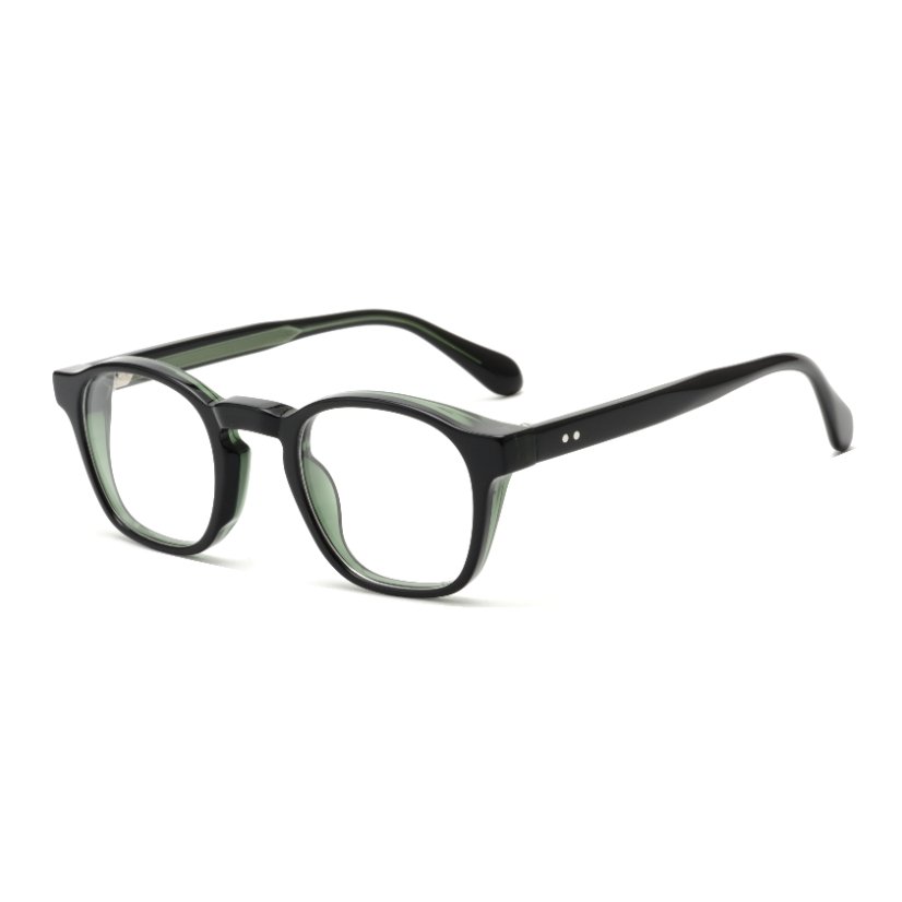 Acetate Frames T2010