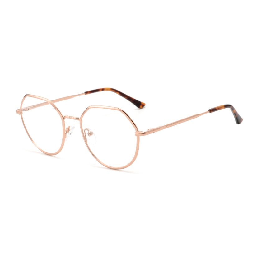 Metal Frames M6010