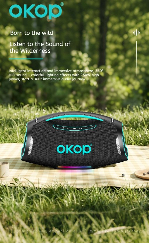 Portable Outdoor Bluetooth Speaker KP-8010 Wireless Bluetooth Speaker