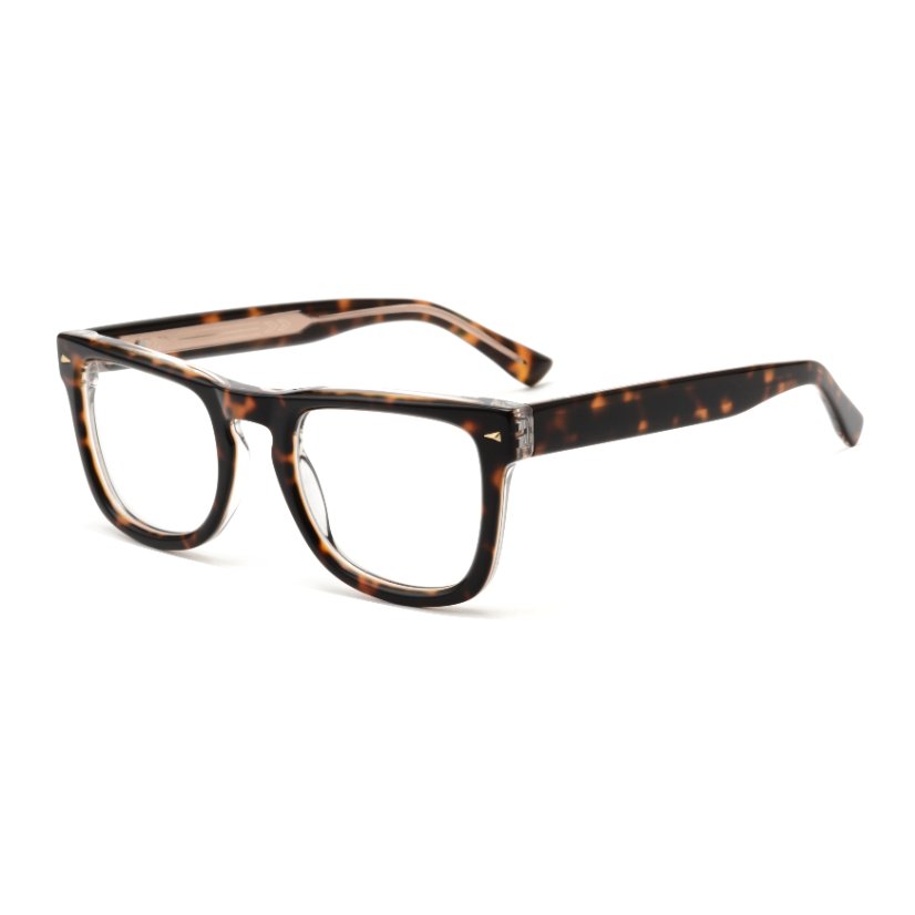 Acetate Frames T1004