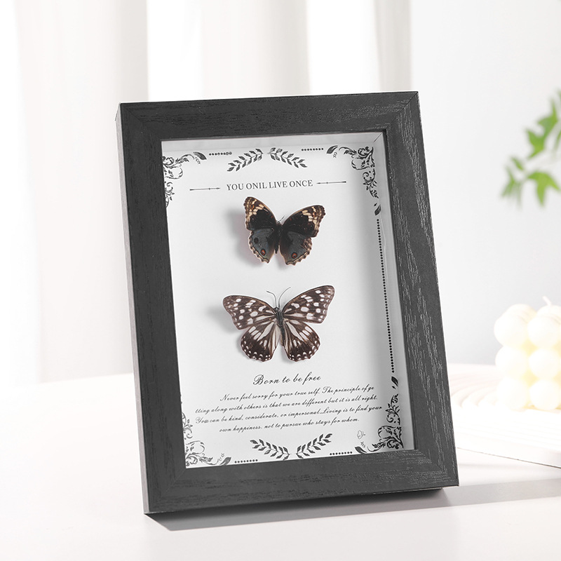 MDF Picture Frames Hollow 2cm specimen frame