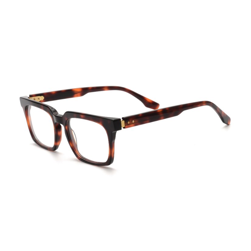Acetate Frames T1002