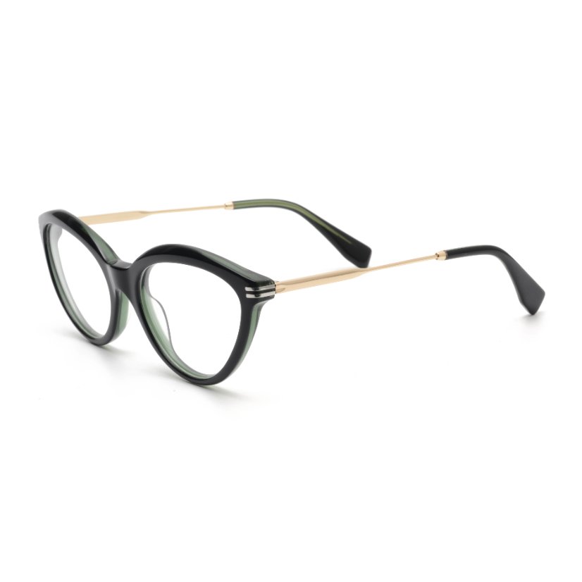 Acetate Frames T3005