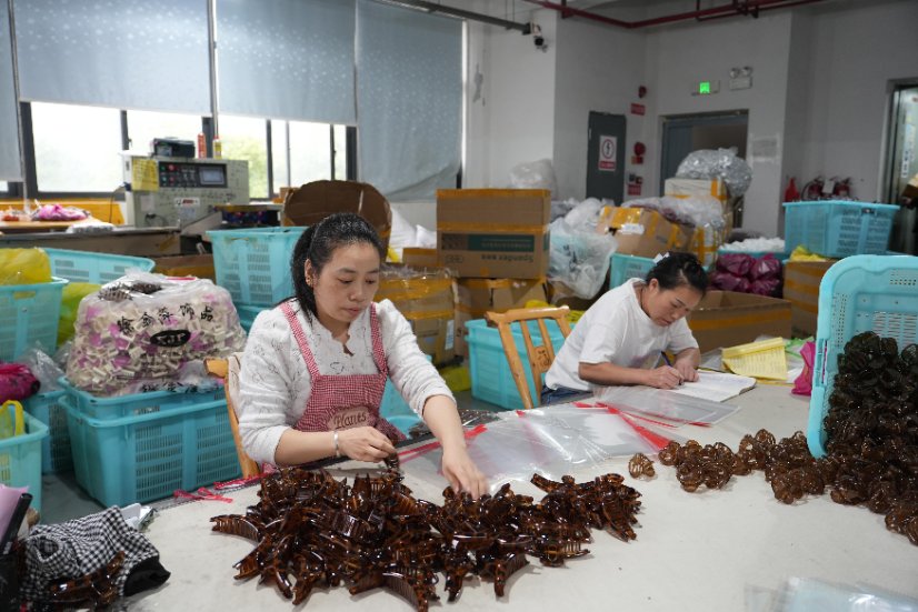 Factory Image 10
