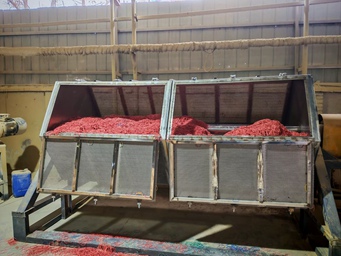 Factory Image 12