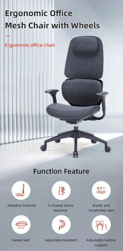 Office Chair ZY-6813
