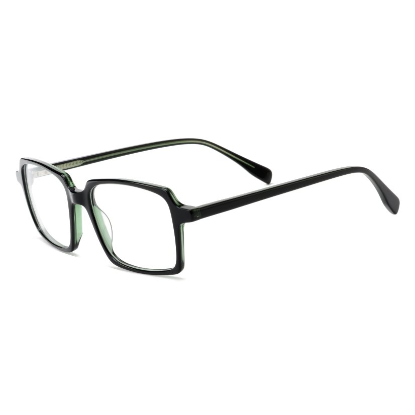 Acetate Frames T2019
