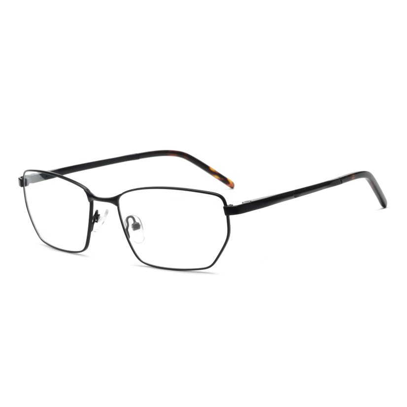 Metal Frames M6011