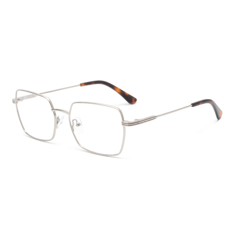 Metal Frames M6005